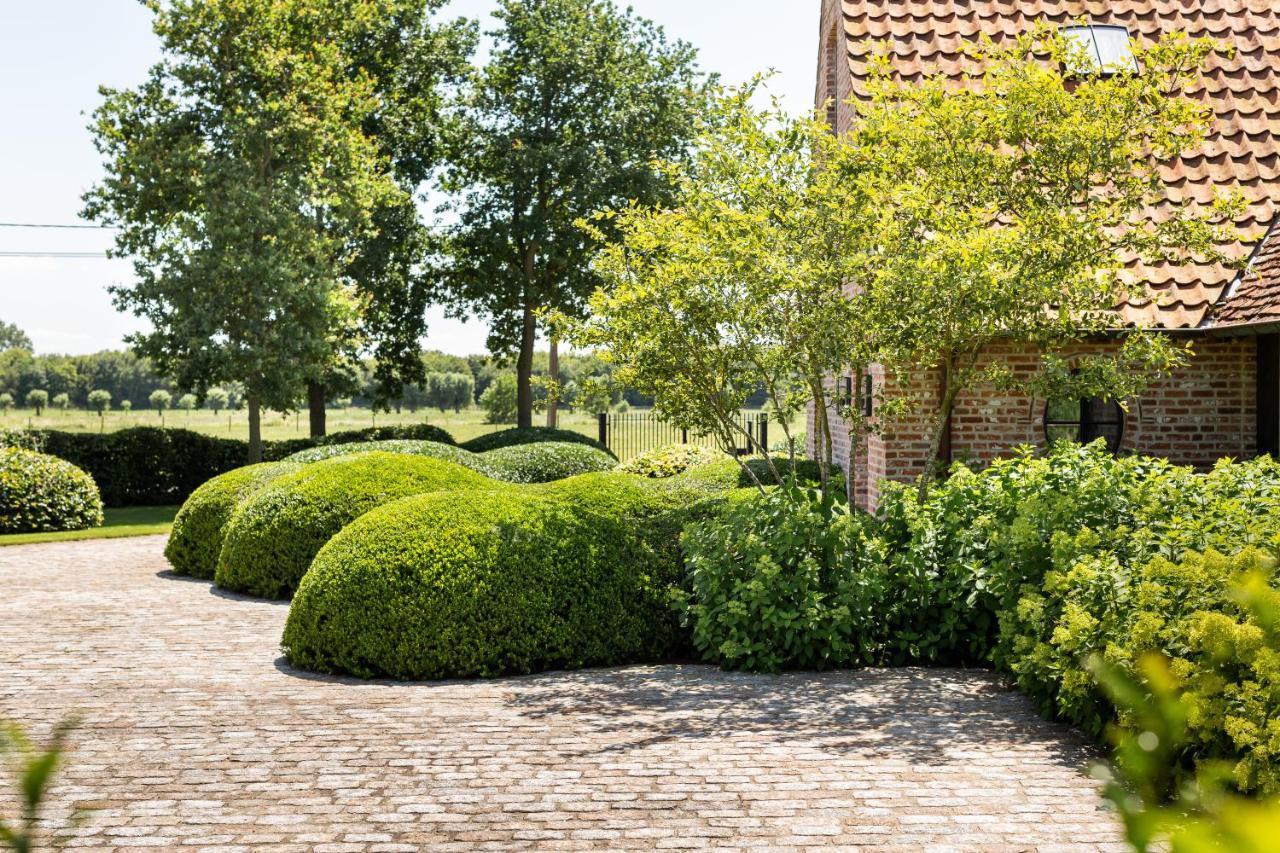 Hoeve Den Akker - Luxueuze Vakantiewoningen Met Privetuinen En Alpaca'S Nabij Brugge, Damme, Knokke, Sluis En Cadzand מראה חיצוני תמונה