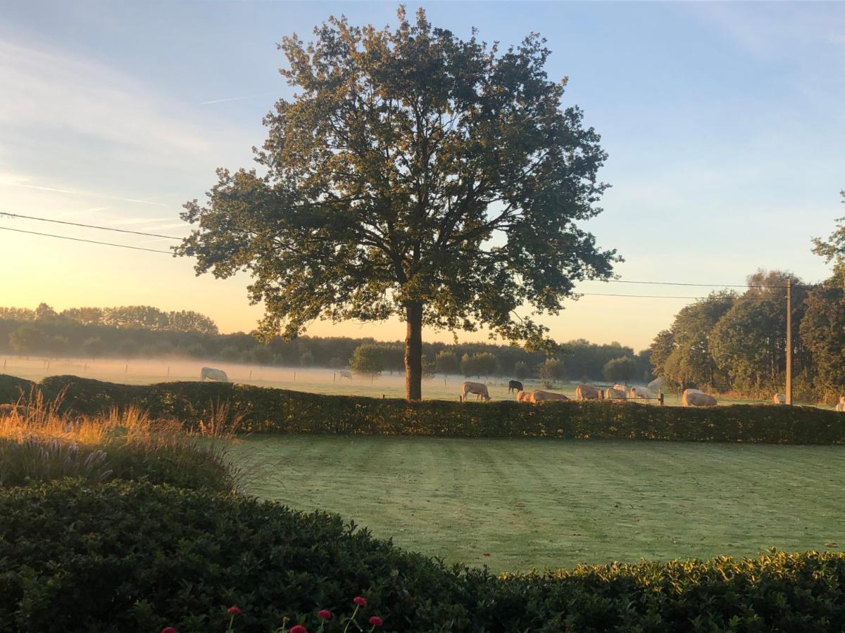 Hoeve Den Akker - Luxueuze Vakantiewoningen Met Privetuinen En Alpaca'S Nabij Brugge, Damme, Knokke, Sluis En Cadzand מראה חיצוני תמונה