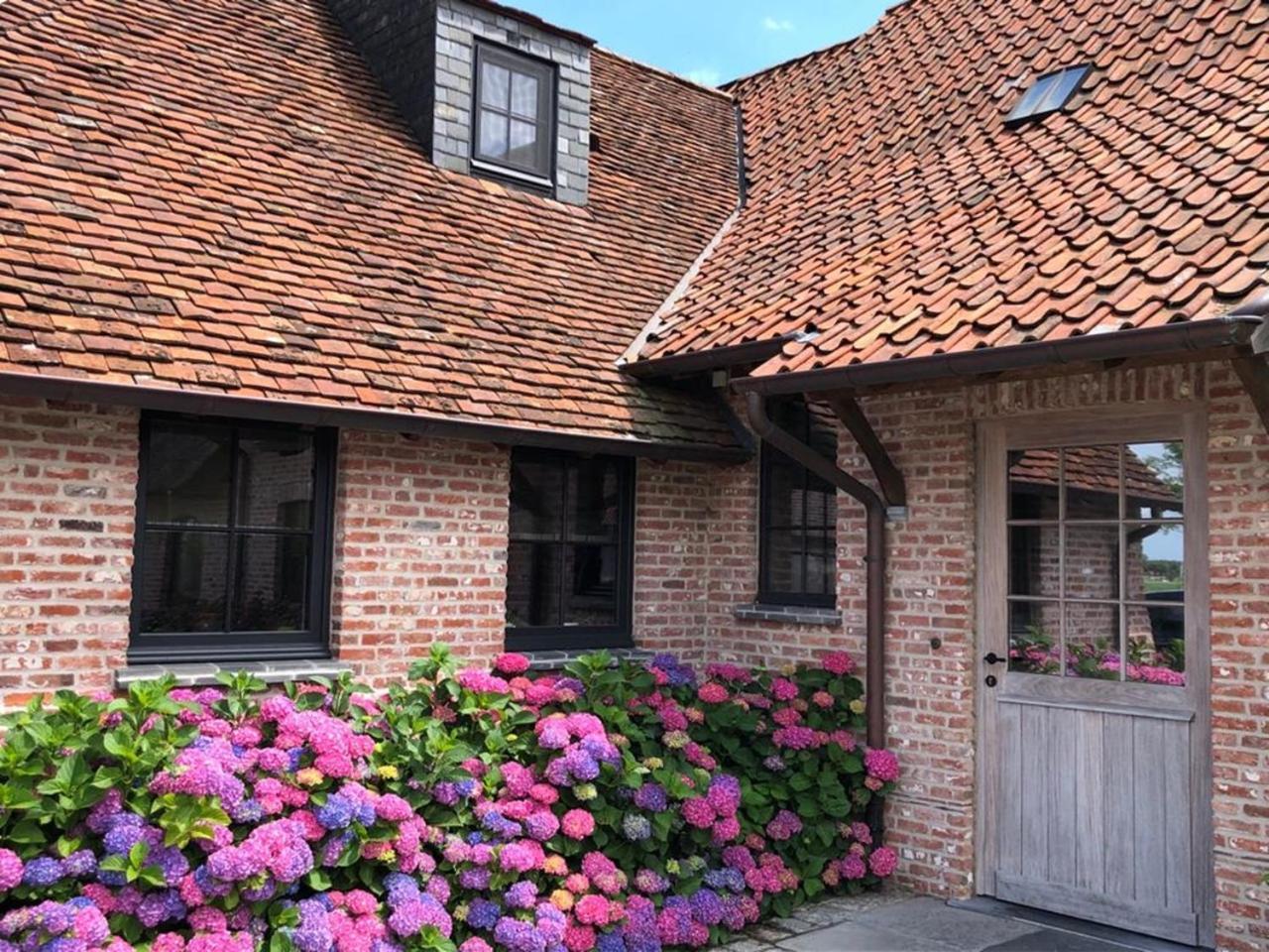 Hoeve Den Akker - Luxueuze Vakantiewoningen Met Privetuinen En Alpaca'S Nabij Brugge, Damme, Knokke, Sluis En Cadzand מראה חיצוני תמונה