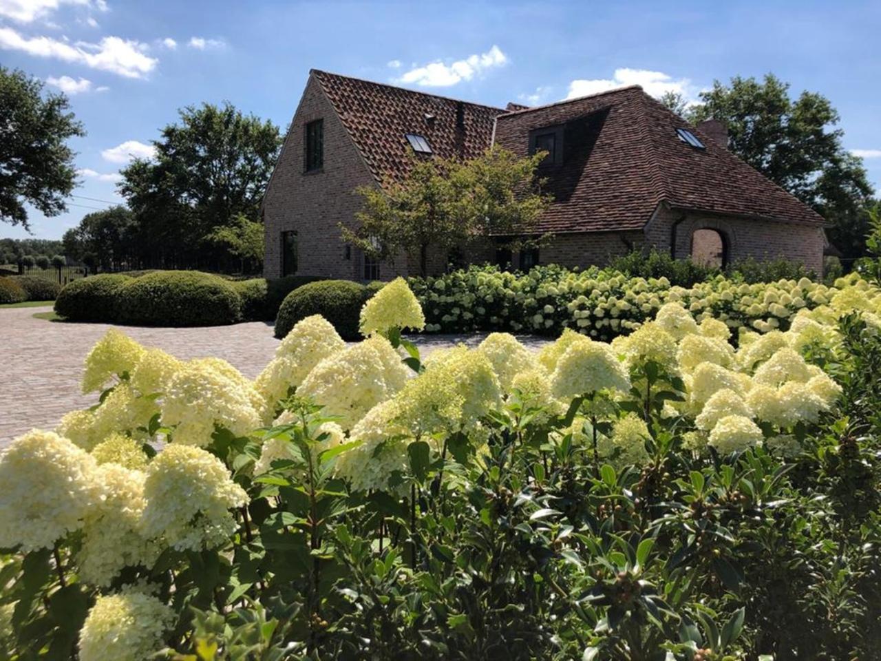 Hoeve Den Akker - Luxueuze Vakantiewoningen Met Privetuinen En Alpaca'S Nabij Brugge, Damme, Knokke, Sluis En Cadzand מראה חיצוני תמונה