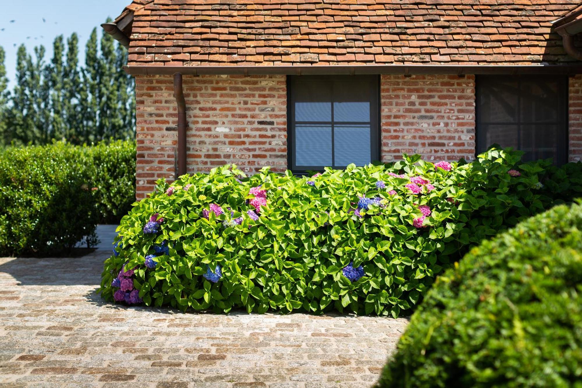 Hoeve Den Akker - Luxueuze Vakantiewoningen Met Privetuinen En Alpaca'S Nabij Brugge, Damme, Knokke, Sluis En Cadzand מראה חיצוני תמונה