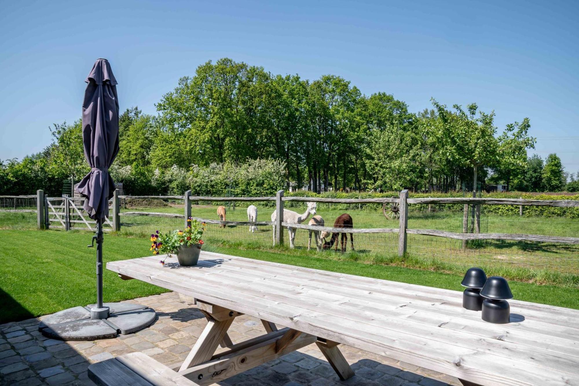 Hoeve Den Akker - Luxueuze Vakantiewoningen Met Privetuinen En Alpaca'S Nabij Brugge, Damme, Knokke, Sluis En Cadzand מראה חיצוני תמונה