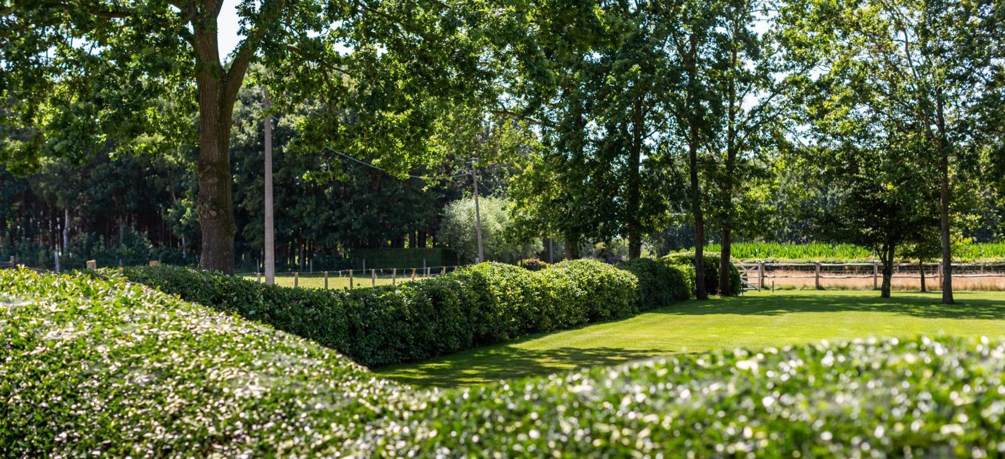 Hoeve Den Akker - Luxueuze Vakantiewoningen Met Privetuinen En Alpaca'S Nabij Brugge, Damme, Knokke, Sluis En Cadzand מראה חיצוני תמונה
